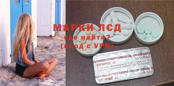 индика Арсеньев