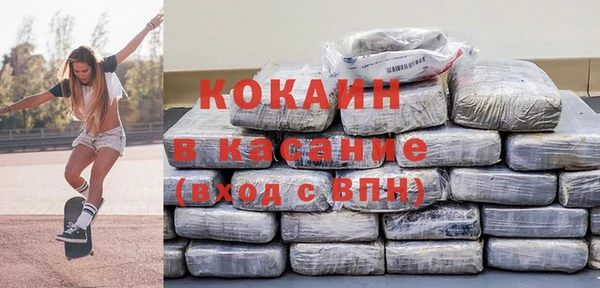 индика Арсеньев