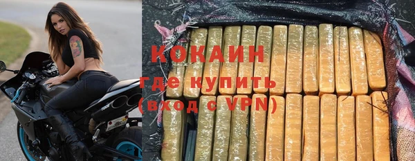 индика Арсеньев