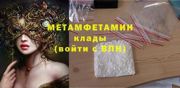 индика Арсеньев